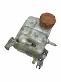 AUSGLEICHSBEHÄLTER KÜHLWASSER CHEVROLET CAPTIVA (C100, C140) 2.0 D 4WD 96837836