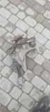 Nabe hinten rechts BMW X5 (F15, F85) xDrive 40 d 6770984