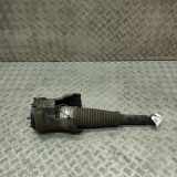 Stoßdämpfer rechts hinten Audi A8 (4H) 4H0616002AJ