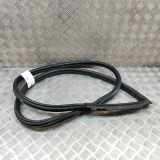 Türdichtung vorne rechts PORSCHE 911 (996) 3.4 Carrera 996.537.076.03 99653707603