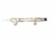 Einspritzleiste Toyota RAV 4 III (A3) 063009J08985