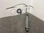 Gasfeder im Kofferraum links BMW 5 Touring (G31) 530 d 7366406