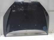 Motorhaube PEUGEOT 407 (6D_) 2.0 HDi 135