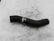 Schlauch Kühlung NISSAN PRIMERA (P12) 2.2 Di