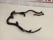 Kabelbaum Audi Q7 (4M) 4M0971228DB