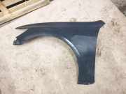 Kotflügel vorne links LEXUS GS III (GRS19_, UZS19_, URS19_) 300 (GRS195_, GRS190_) 538023F210