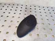 Lautsprecher im Armaturenbrett