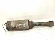 Pneumatischer Stoßdämpfer vorne links LAND ROVER RANGE ROVER SPORT (L320) 3.0 D 4x4 22249855