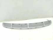 Gitter MERCEDES-BENZ R (W251, V251) R 350 CDI 4-matic (251.022, 251.122) 2518800005