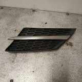 Vorderer oberer Gitter TOYOTA RAV 4 IV (_A4_) 2.0 D (ALA40_) 5310642010
