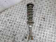 Stoßdämpfer hinten links HONDA ACCORD VIII (CU) 2.2 i-DTEC (CU3) 52610TL0G220M1