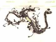 Motor Kabelbaum MERCEDES-BENZ SLK (R172) 250 CDI / d (172.403) 6510100603