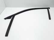 Zier-/Schutzleiste für Türscheibe Volvo V90 II (235) 31693331