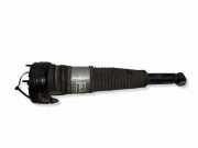 Stoßdämpfer hinten links AUDI A8 D4 (4H_) S8 quattro 4H0616002C
