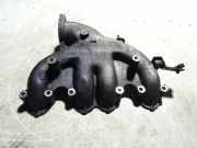 Ansaugbrücke VW PASSAT B5 (3B3) 1.9 TDI 038129713AJ