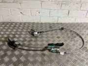 Generatorriemen FORD TRANSIT CUSTOM 2.2 TDCi BK21V43287