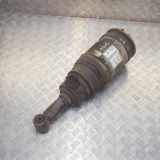 Stoßdämpfer hinten links