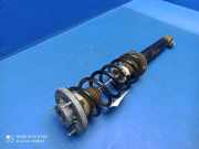 Stoßdämpfer hinten rechts