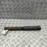 Stoßdämpfer links hinten Fiat Talento Kasten (296) 562102878R