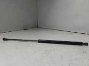 Heckklappe Gasdruckfeder links RENAULT LAGUNA II (BG0/1_) 1.9 dCi (BG08, BG0G) 871025223