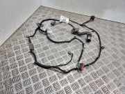 Kabel Tür Ford C-Max II (DXA) F1DT14240RBF