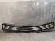 Vorderer oberer Gitter MERCEDES-BENZ E (W210) E 320 CDI (210.026) 2108800805