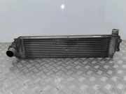 Ladeluftkühler RENAULT SCÉNIC II (JM0/1_) 2.0 dCi (JM1K)