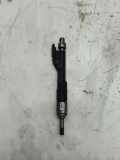 Einspritzdüse BMW 6 Cabrio (F12) 650 i xDrive 13647599876