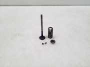 Auslassventil Nissan Qashqai (J10)