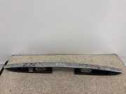 Kennzeichenbeleuchtung MERCEDES-BENZ R (W251, V251) R 320 CDI 4-matic (251.022, 251.122) 2517400593