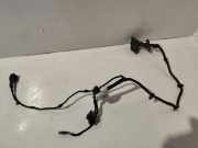 Türverkabelung hinten links AUDI A4 Avant (8E5, B6) 1.9 TDI 8E0971687E