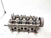 Motorkopf SKODA OCTAVIA II Combi (1Z5) 1.9 TDI 4x4 038103373R