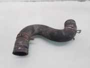 Schlauch Kühlung PEUGEOT 206 CC (2D) 1.6 16V