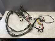 Motor Kabelbaum AUDI A4 Avant (8ED, B7) 1.9 TDI 8E1971725N