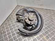 Radlagergehäuse rechts hinten VW Passat B7 Alltrack (36, B7) 3C0505436F