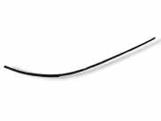 Dachleiste links VOLVO V70 III (BW) 2.0 D