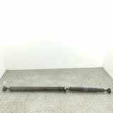 Kardanwelle LAND ROVER RANGE ROVER EVOQUE (L538) 2.0 D 4x4 GJ32-7L190-AB