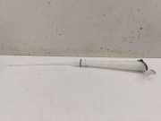 Behälter Scheibenwaschanlage Nissan Qashqai II (J11) 289156UA0A