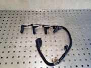 Glühkerzenkabel BMW 3 Cabrio (E93) 320 d 7580397