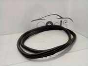 Dichtungsgummi der hinteren Tür (an der Karosserie)