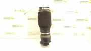 Pneumo-Stoßdämpfer hinten links MERCEDES-BENZ R (W251, V251) R 320 CDI 4-matic (251.022, 251.122) 2513200025