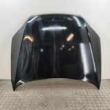 Motorhaube Audi Q7 (4L) 4L0823029A