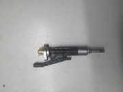Einspritzdüse BMW 3 Touring (F31) 320 i 10213541