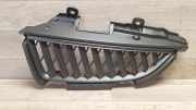Vorderer oberer Gitter MITSUBISHI GRANDIS (NA_W) 2.0 DI-D (NA8W) MN145455