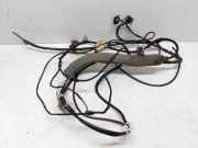 Kabelbaum VW PASSAT B5 (3B3) 2.0