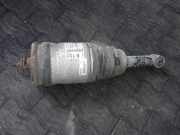 Stoßdämpfer rechts hinten Land Rover Discovery III (L319) 22250006