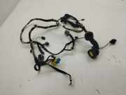 Kabel Tür Peugeot 508 I () 9675215780