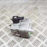 A/C Conditioner Expansion Valve PEUGEOT 208 II (UB_, UP_, UW_, UJ_) e-208 9831600480