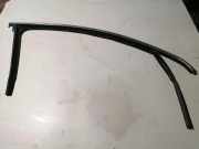 Türgummi rechts vorne VW Passat B6 (3C2) 3C4837432F