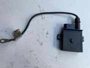 Zündkerzenrelais BMW 5 (G30) 520 d xDrive E2110022360